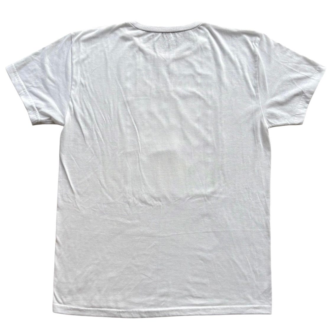 "Classy Bandit" Raccoon Painting Tee T-Shirt Medium Unisex